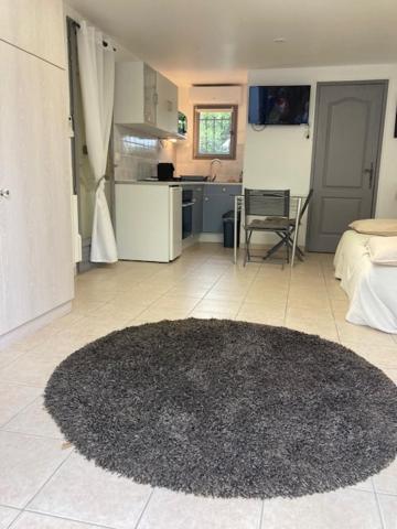 Studio Pied Dans L Eau La Londe-les-Maures Bagian luar foto
